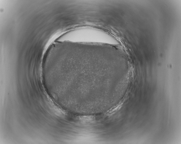 X0000087670102200705251629
