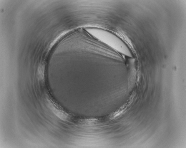 X0000087670108200705251629