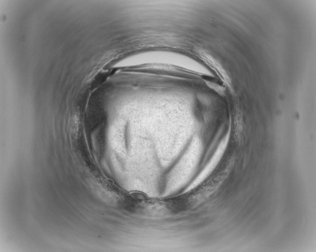X0000087670113200705251629