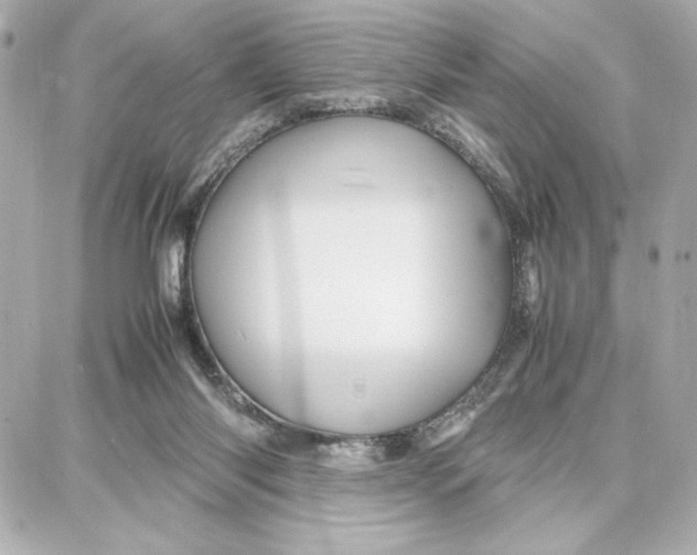 X0000087670118200705251628