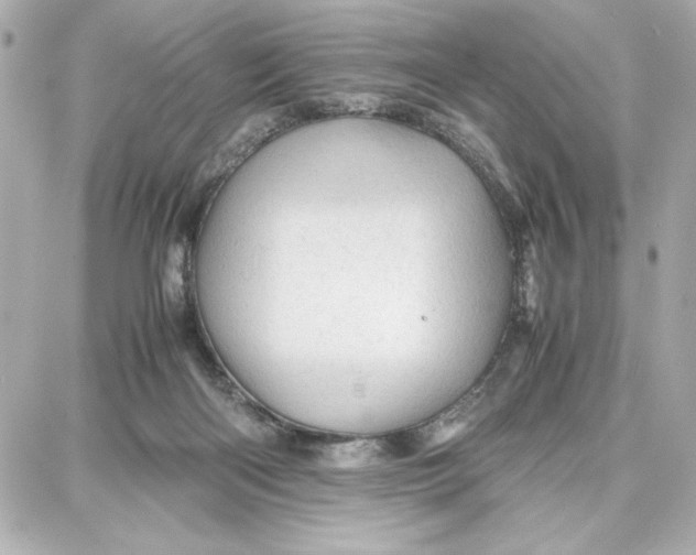 X0000087670122200705251628