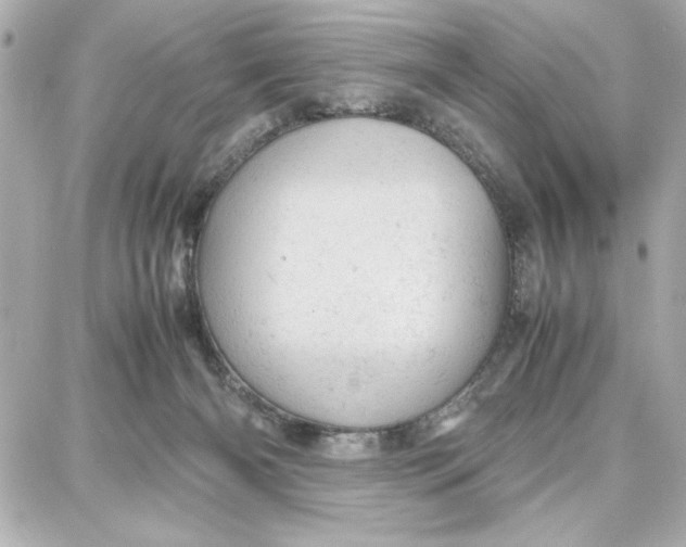 X0000087670126200705251628