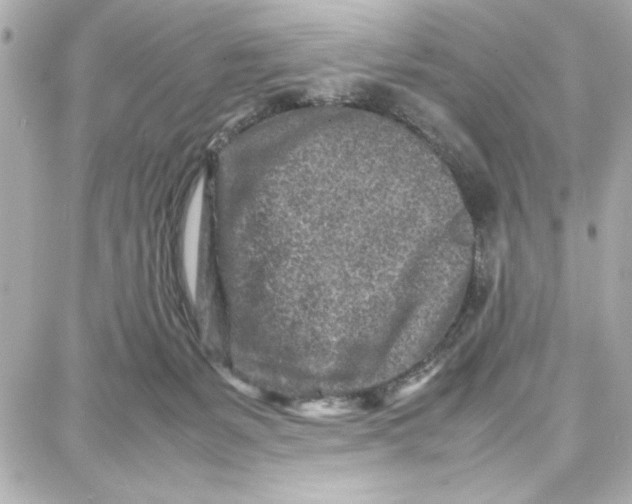 X0000087670127200705251628
