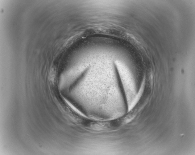 X0000087670129200705251628