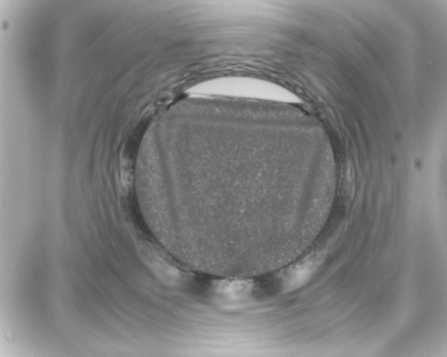 X0000087670135200705251628