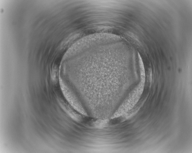 X0000087670138200705251628