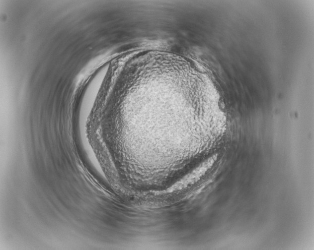 X0000087670149200705251627