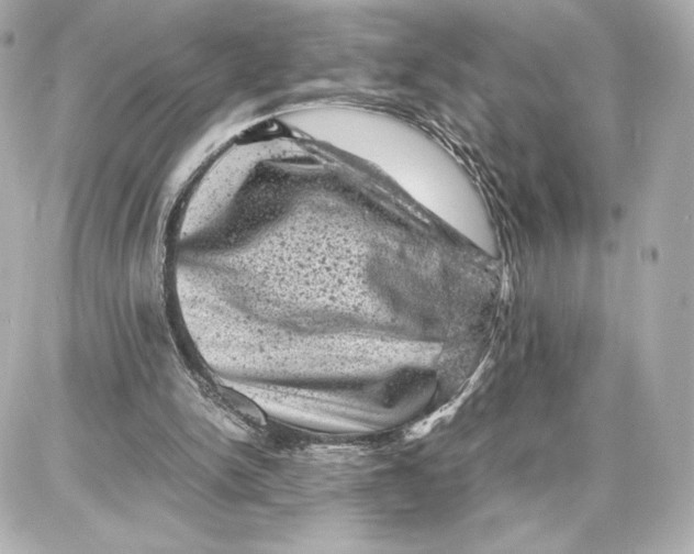X0000087670150200705251627