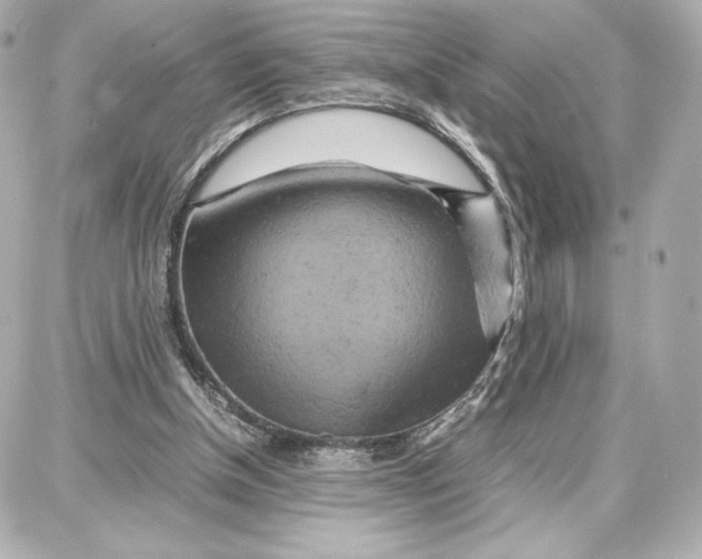 X0000087670154200705251627