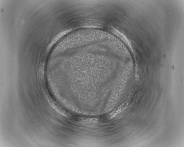X0000087670155200705251627