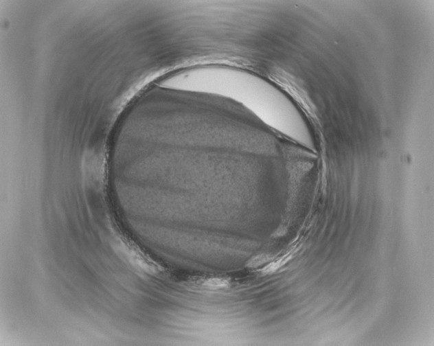 X0000087670156200705251627