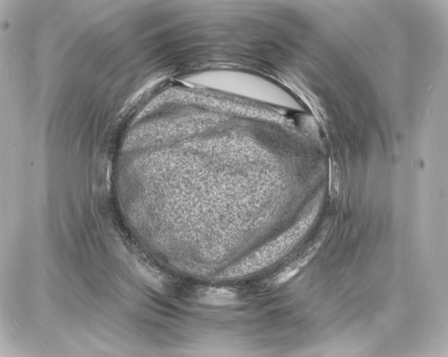 X0000087670157200705251627