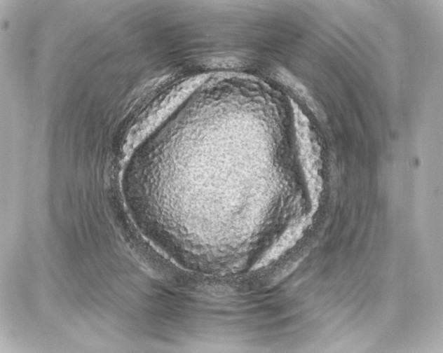 X0000087670161200705251627