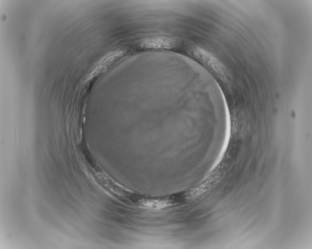 X0000087670163200705251628
