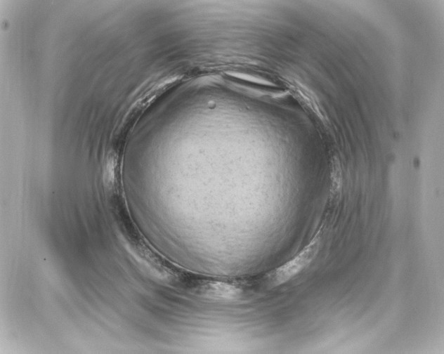 X0000087670166200705251628