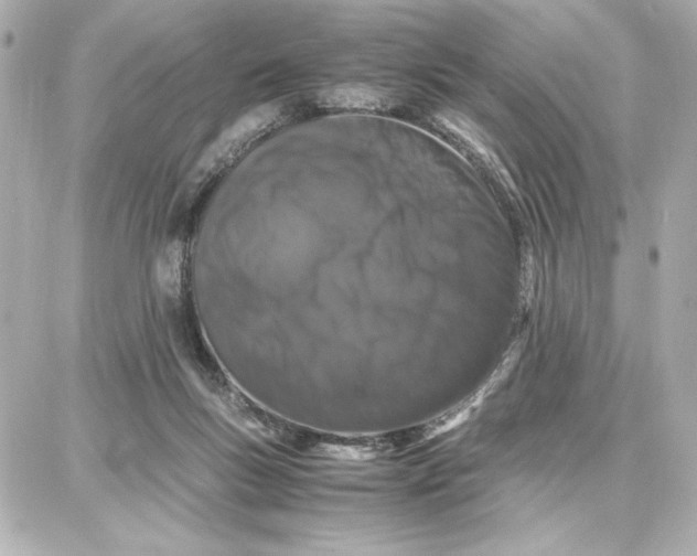 X0000087670167200705251628