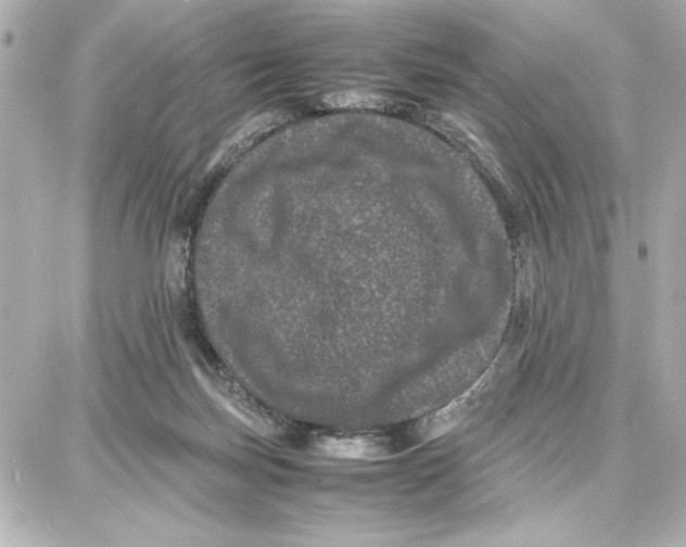 X0000087670171200705251628