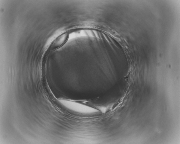 X0000087670200200705251627