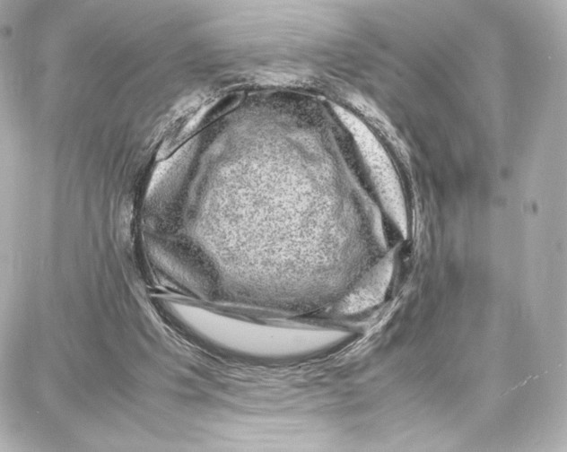 X0000087670201200705251627