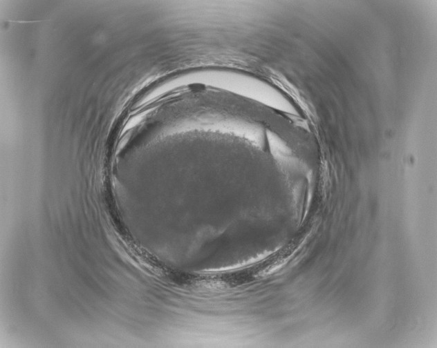 X0000087670203200705251627