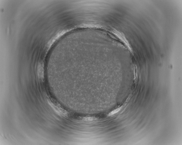 X0000087670204200705251627