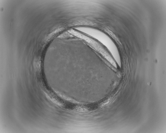 X0000087670207200705251627