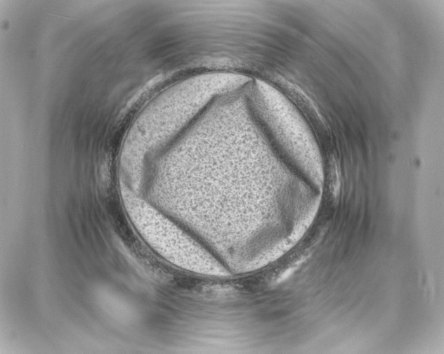 X0000087670208200705251627