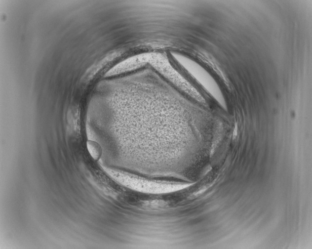 X0000087670212200705251627
