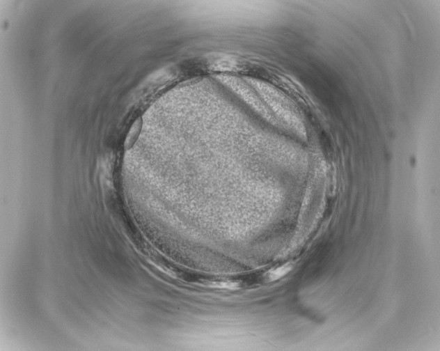 X0000087670217200705251627