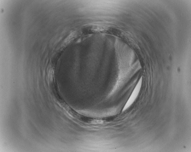 X0000087670227200705251627