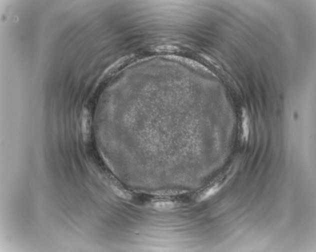 X0000087670228200705251627