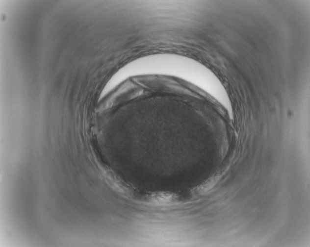 X0000087670235200705251627