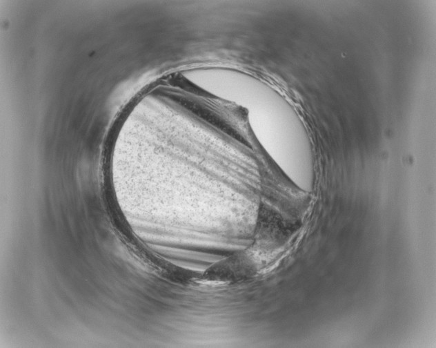 X0000087670248200705251626