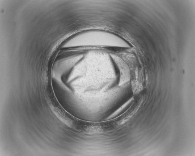 X0000087670252200705251626