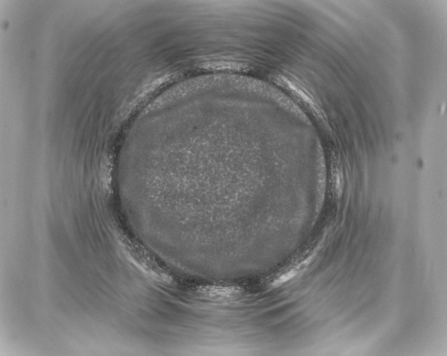 X0000087670255200705251626