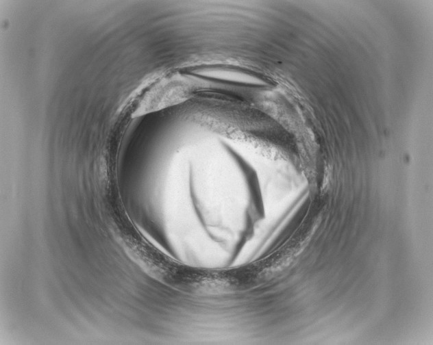 X0000087670256200705251626