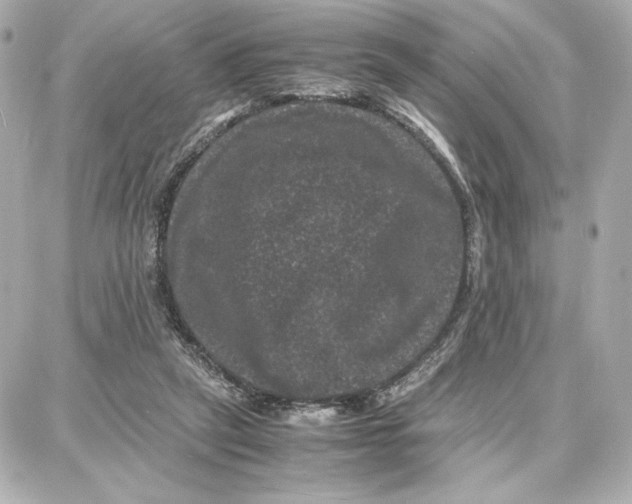 X0000087670257200705251626