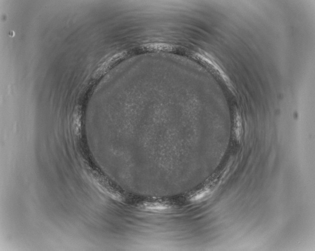 X0000087670259200705251626