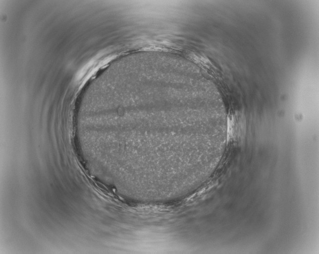 X0000087670291200705251626