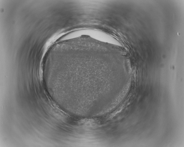 X0000087670294200705251626