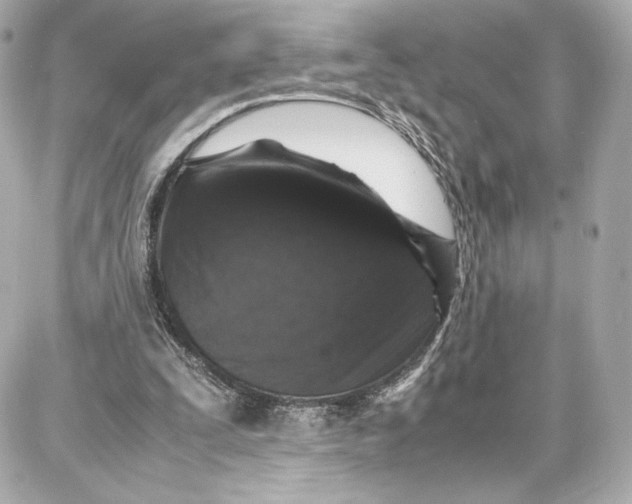 X0000087670295200705251626