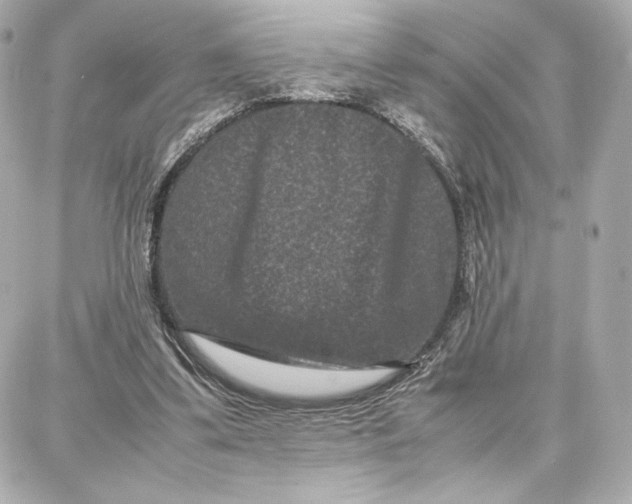 X0000087670299200705251625