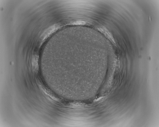 X0000087670300200705251625