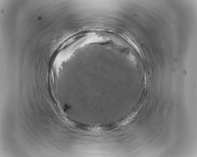 X0000087670301200705251625