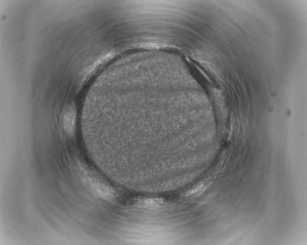 X0000087670304200705251625