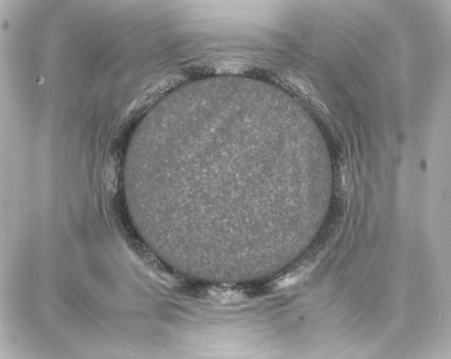 X0000087670311200705251625