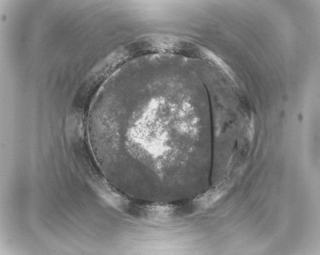 X0000087670313200705251625