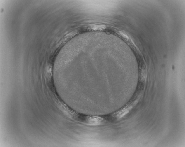 X0000087670321200705251625