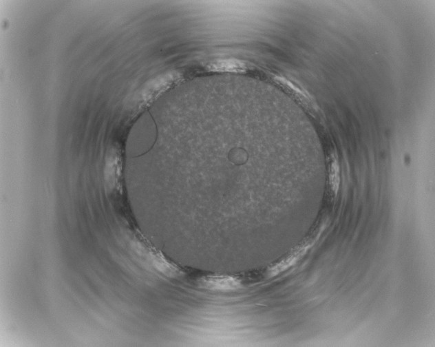 X0000087670322200705251625