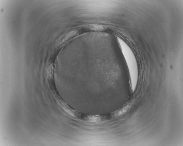 X0000087670325200705251625